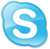 Skype icon